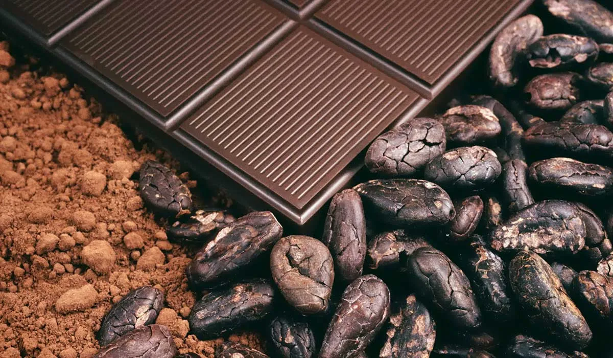 aprovecha los flavonoles para tu salud