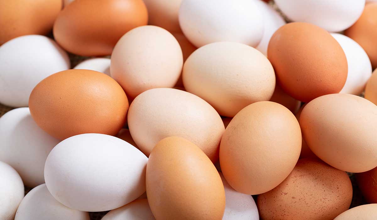 usos que le puedes dar al huevo