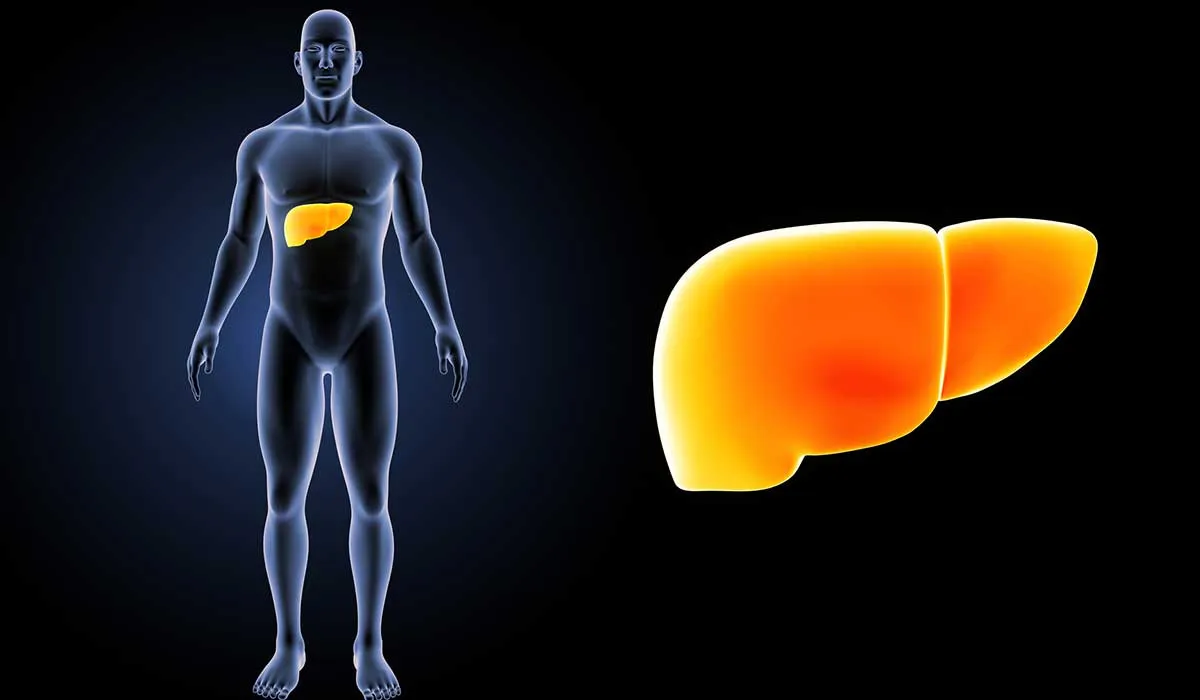 síntomas del hígado graso