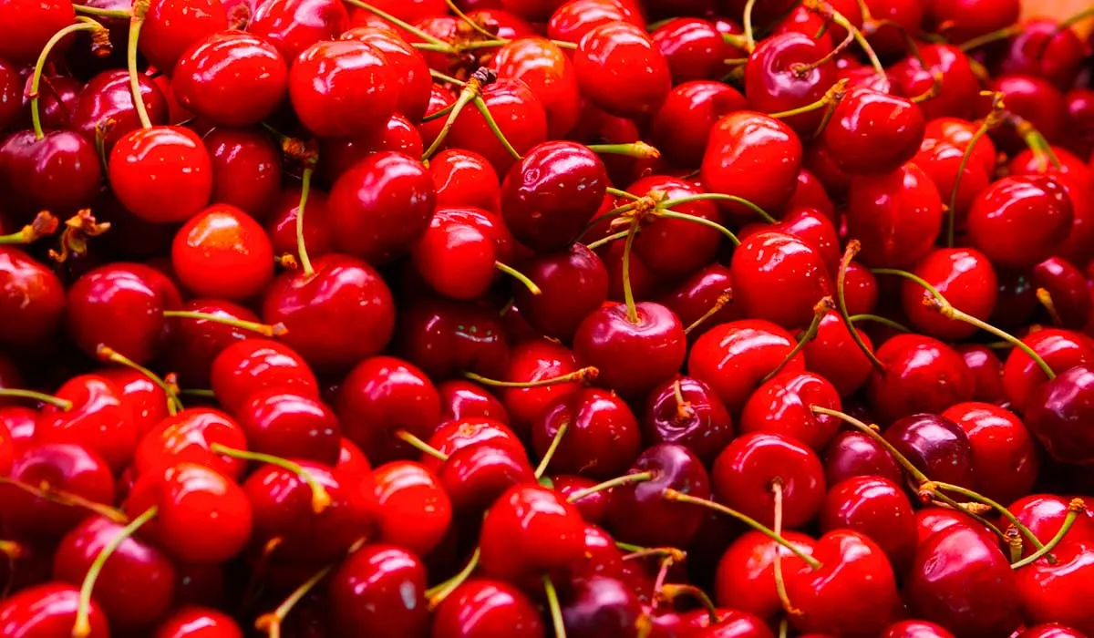 disfruta de las cerezas en su temporada