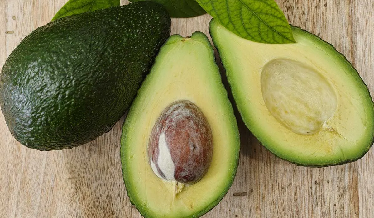 descubre como el aguacate te ayuda con tu peso
