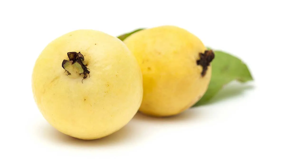 tu cuerpo hace esto si comes guayaba