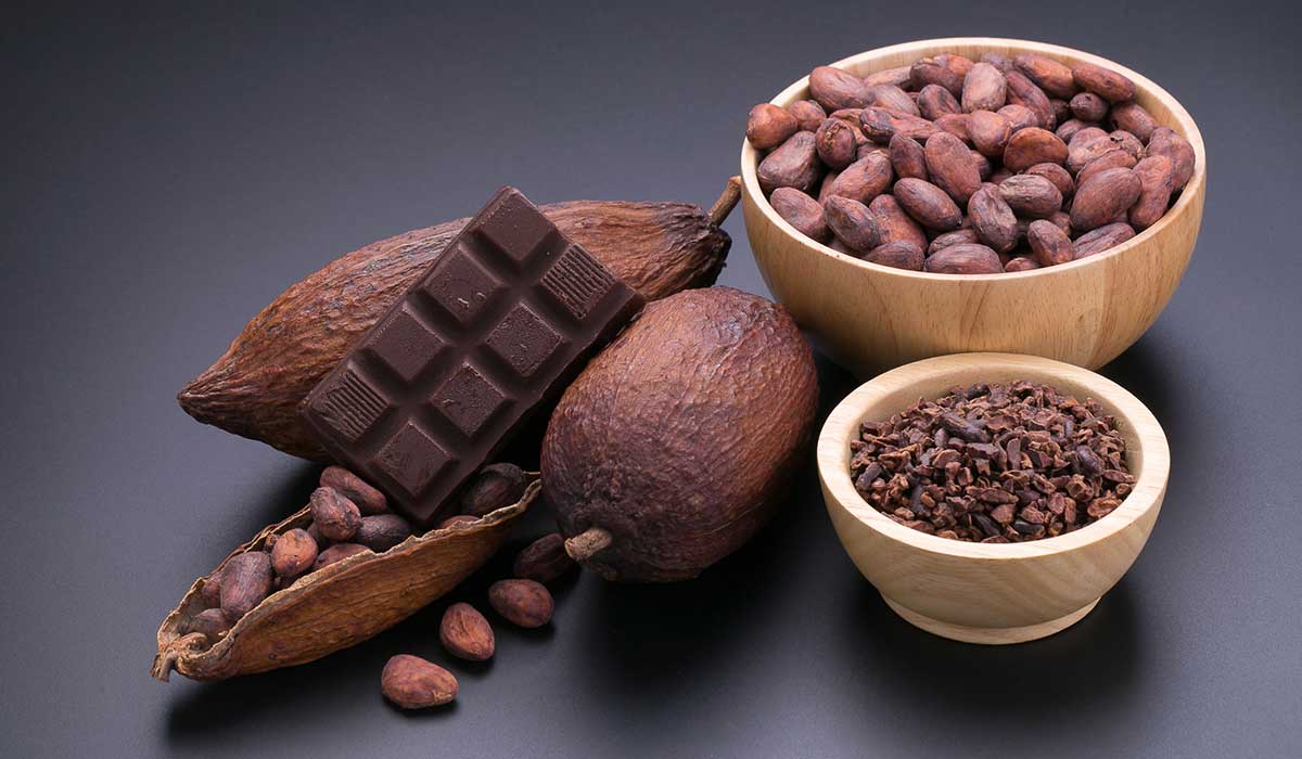 Tabasco el origen del cacao