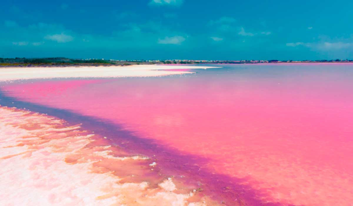 “El lago rosa de México” está en Las Coloradas