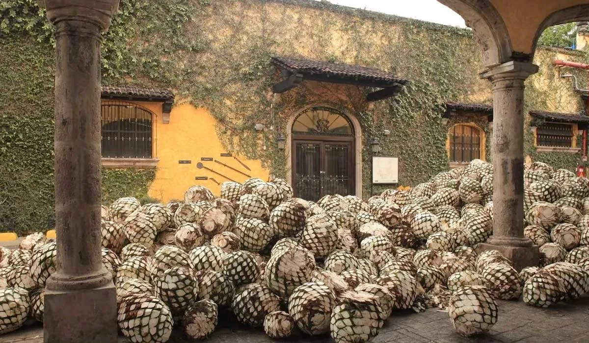 Estos son los museos que los viajeros mexicanos más quieren visitar