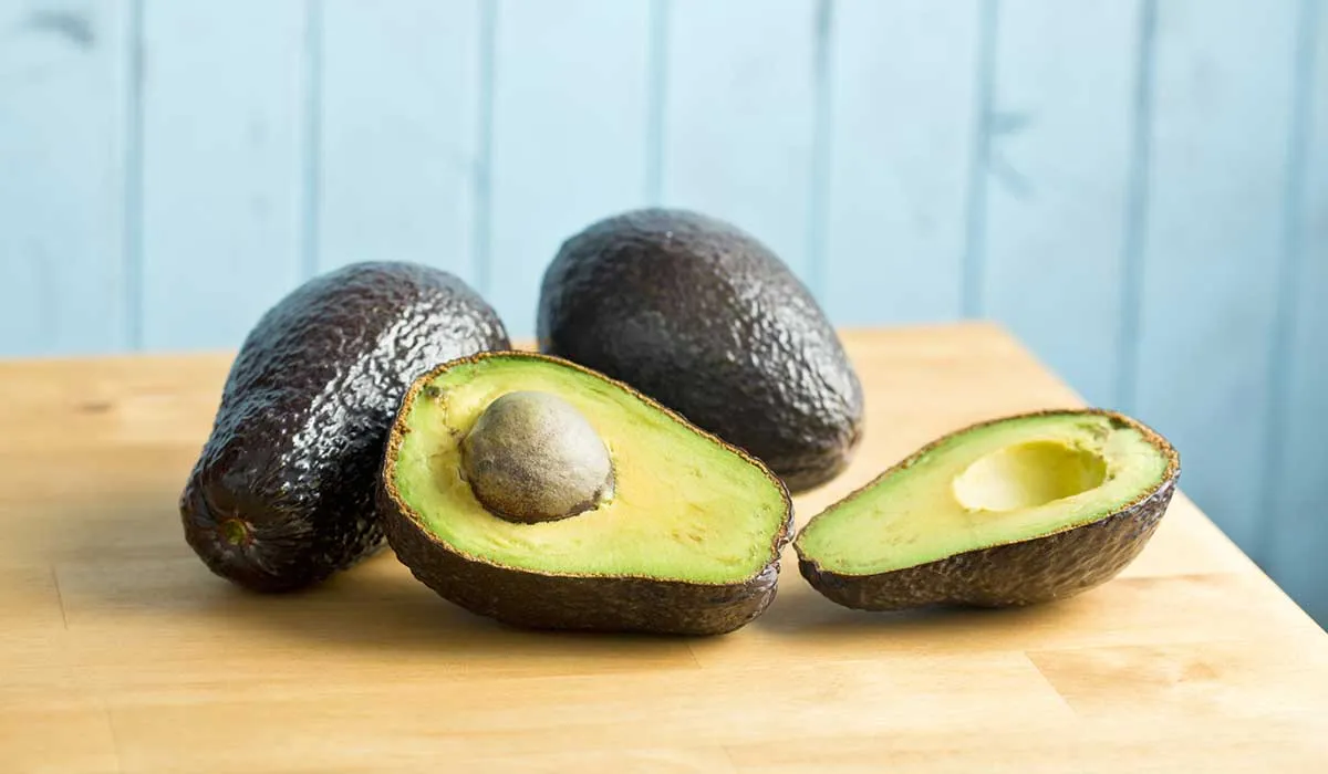 amantes del aguacate