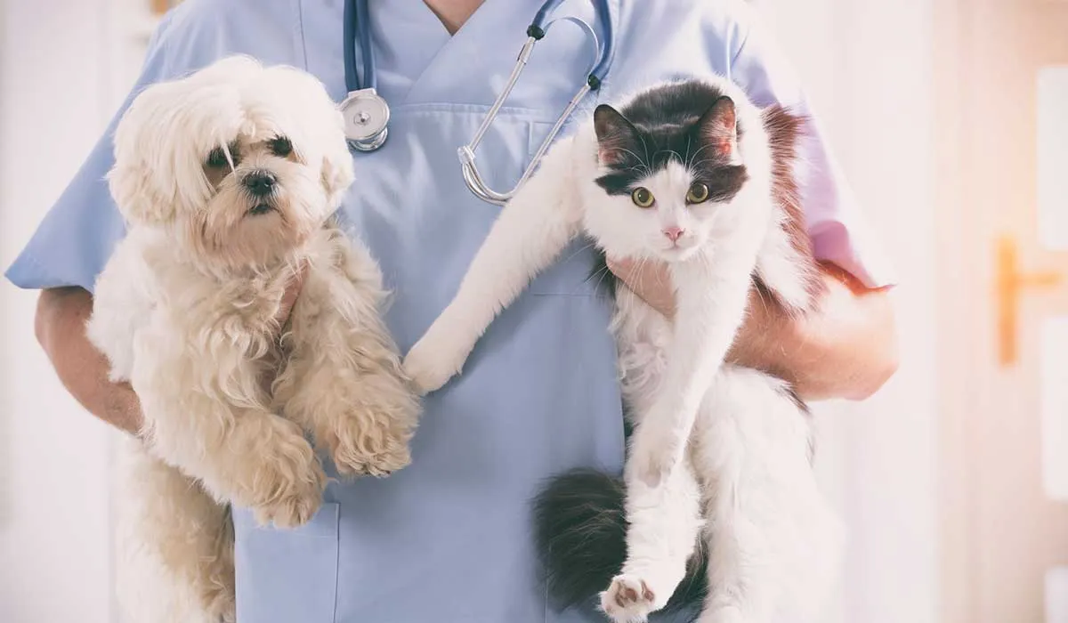Ayuda a erradicar la rabia con la vacunación anual de tu mascota