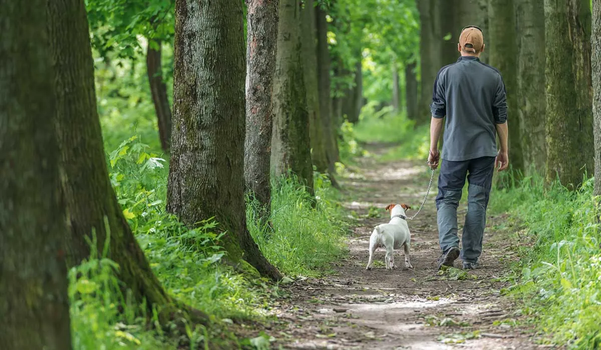 un perro te ayuda a vivir más