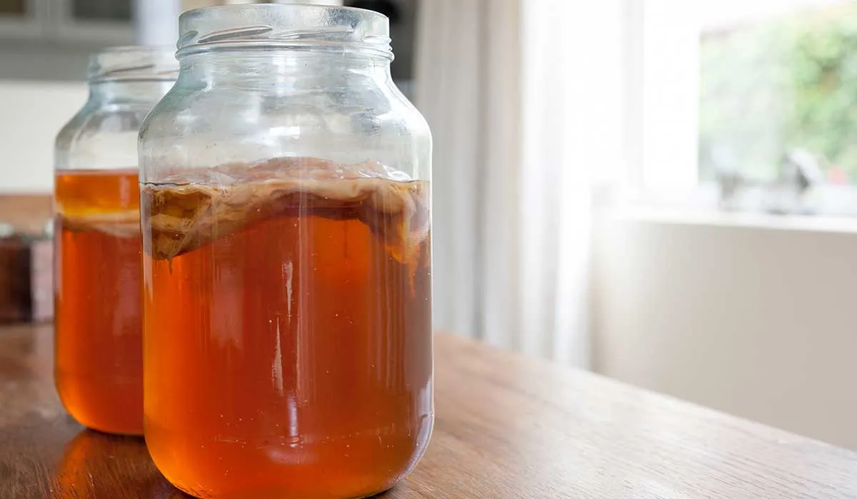 recetas para preparar bebidas energétizantes y naturales