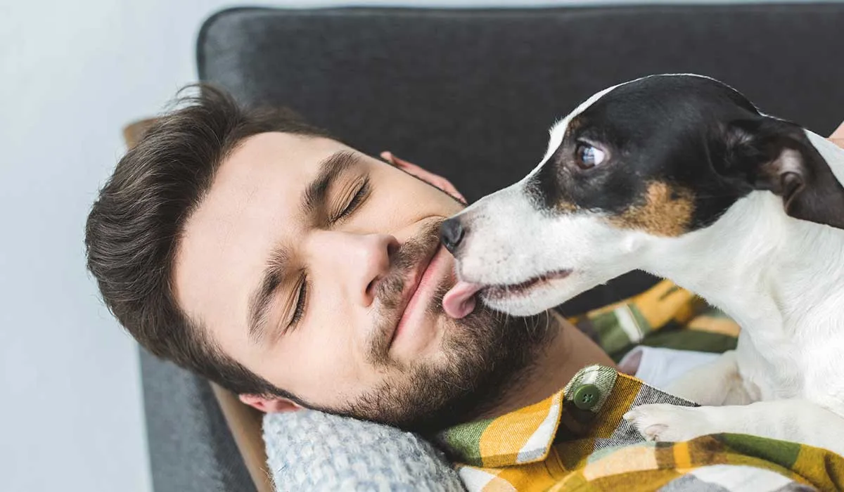 Mascotas que debes mantener lejos de tu cara