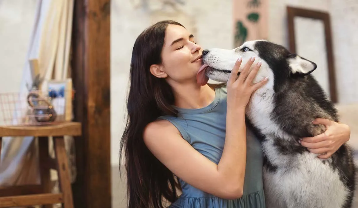 qué significa que tu perro te lama