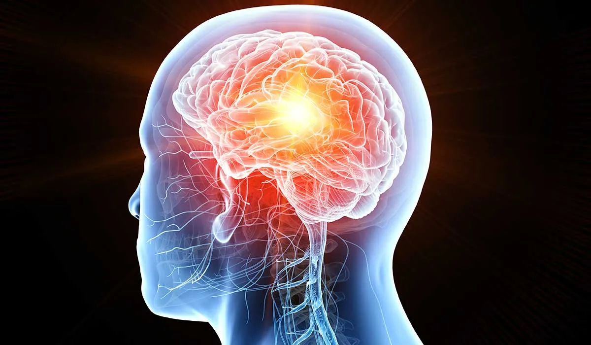 datos sorprendentes de tu cerebro