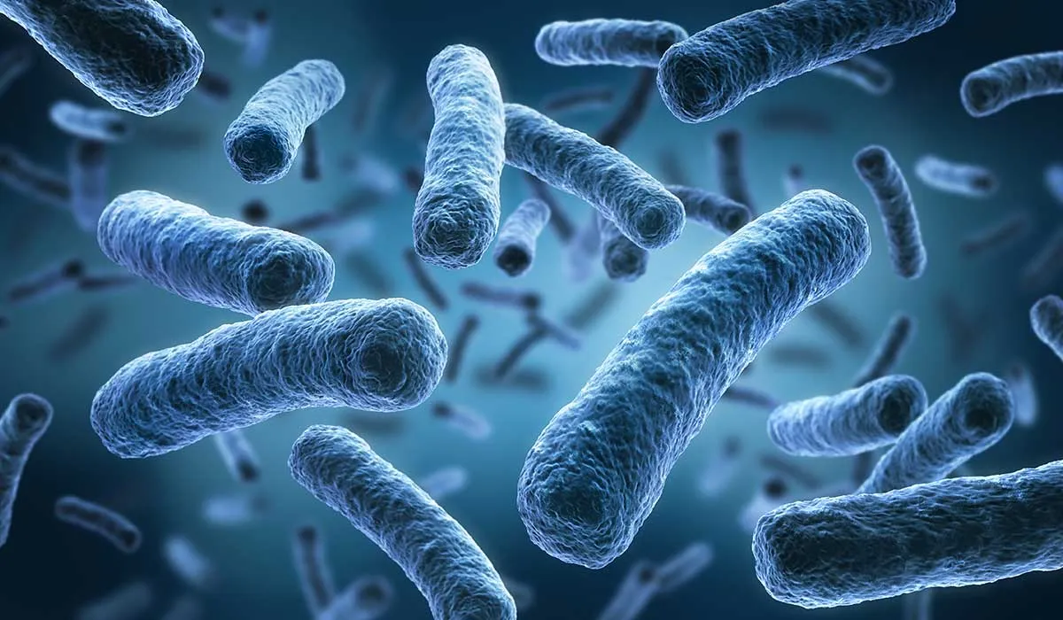 tips para evitar la resistencia de los antibióticos