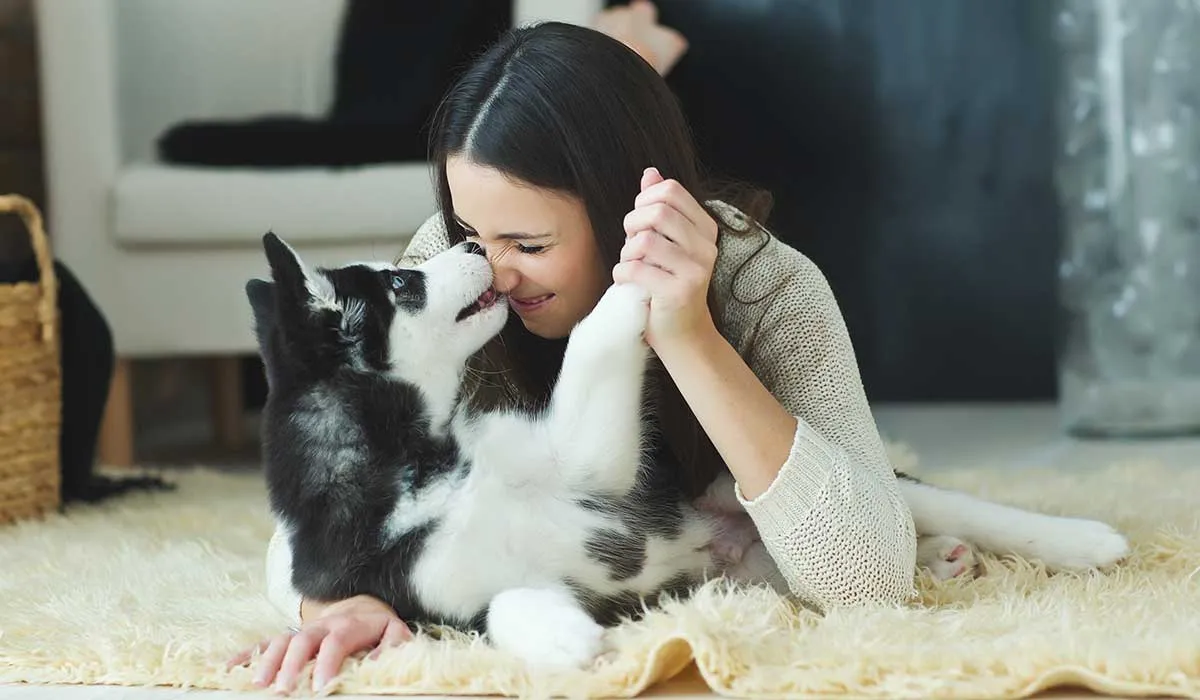 Influenza canina, un nuevo virus potencialmente peligroso para los humanos