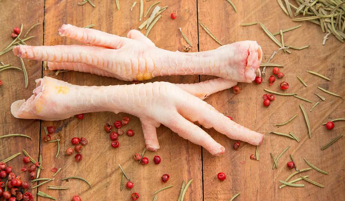 comer patas de pollo