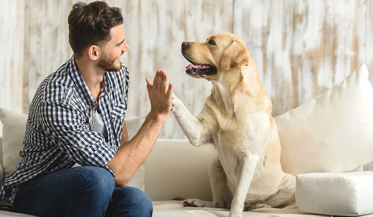 ¿Qué tan inteligente es tu perro? Te decimos cómo saberlo