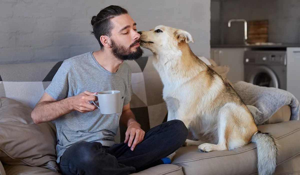 ¿Por qué tu perro tiene mal aliento? Y cómo eliminarlo