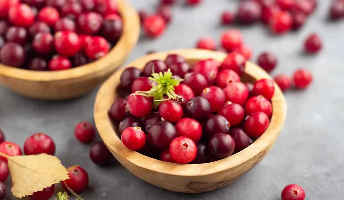 arándanos en contra de las infecciones urinarias