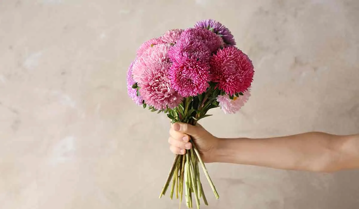 cambia las flores por árboles