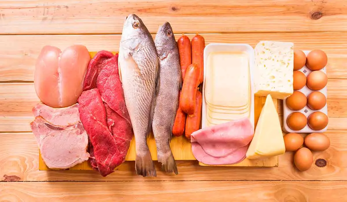 consumo de proteínas para tu organismo