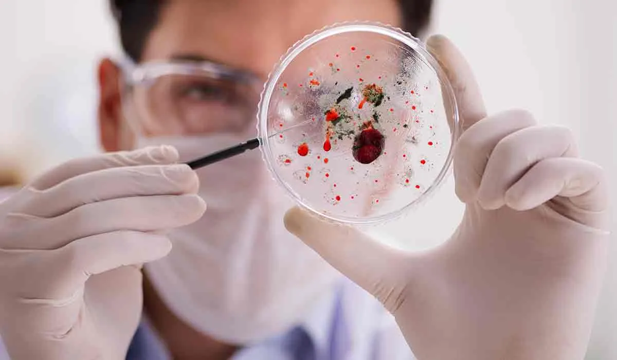 nuevo virus encontrado en Brasil