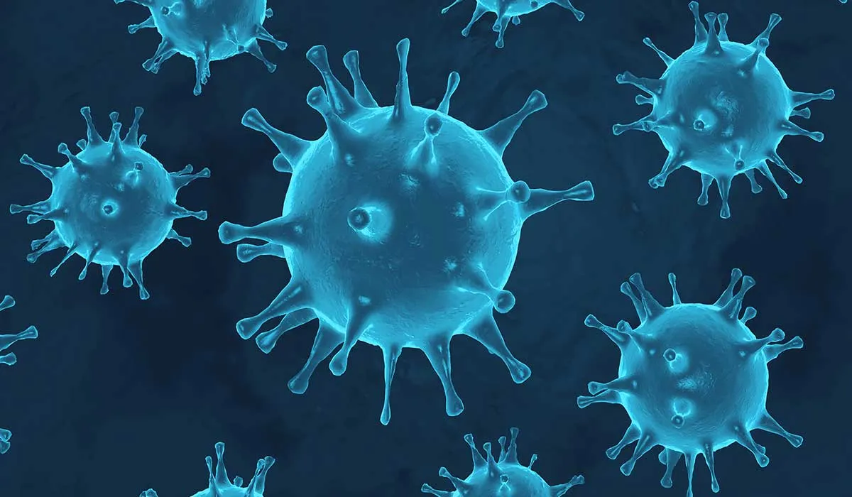 come esto para fortalecerte contra el coronavirus