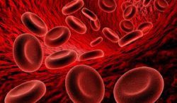 cuidado con la anemia por falta de hierro