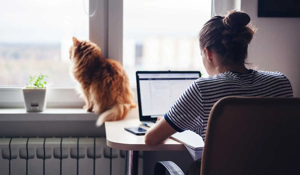 hacer home office por Covid