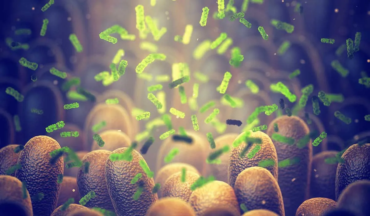 protege tu microbiota para que te proteja