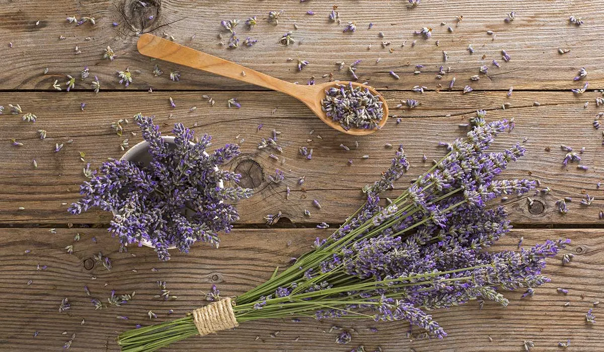 cómo hacer leche de lavanda