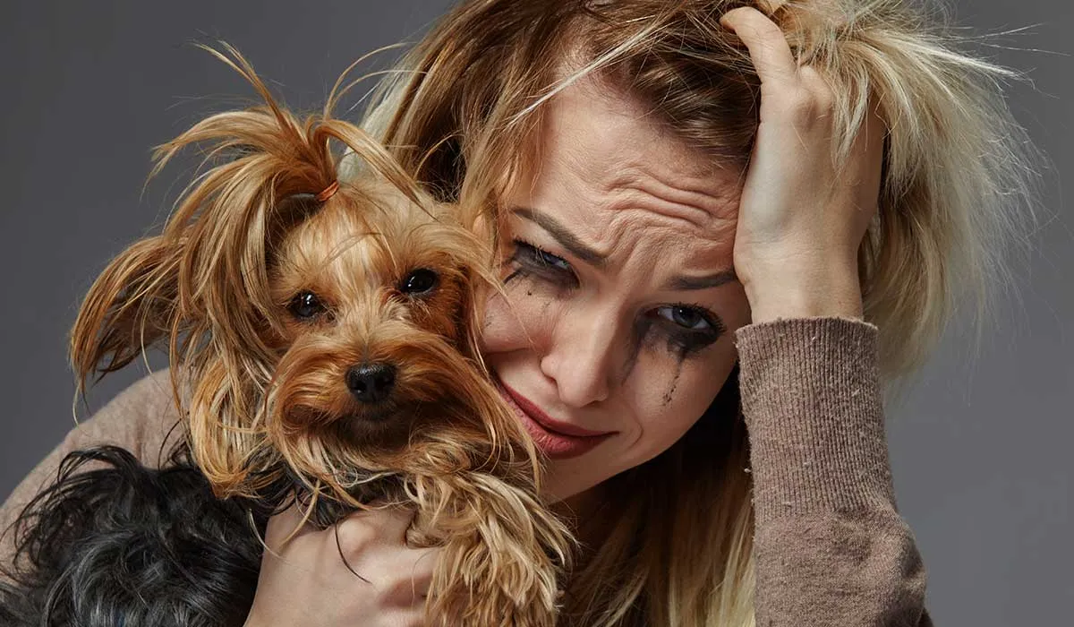 tu perro podría querer estar solo en algún momento