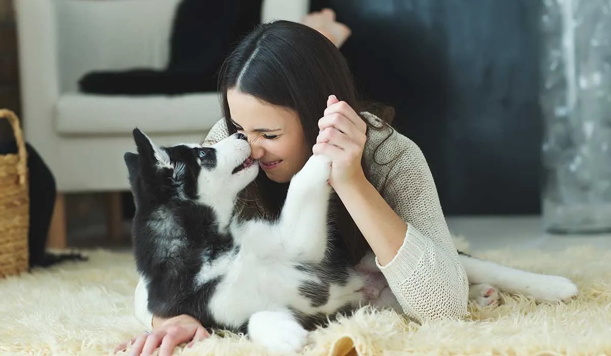 aprende a entender los sonidos de los perros