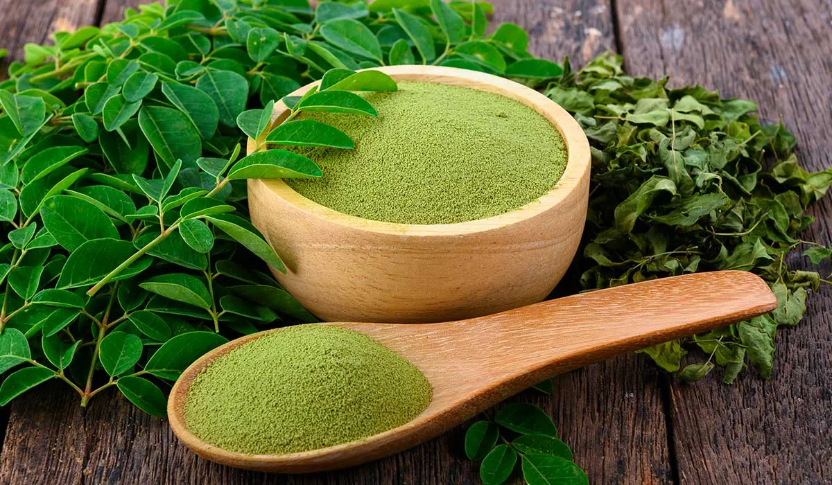 conoce todo lo que la moringa puede hacer por ti