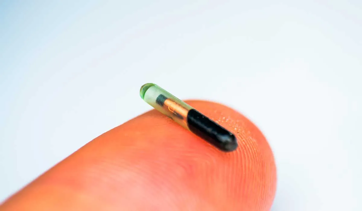 nuevo chip de Elon Musk