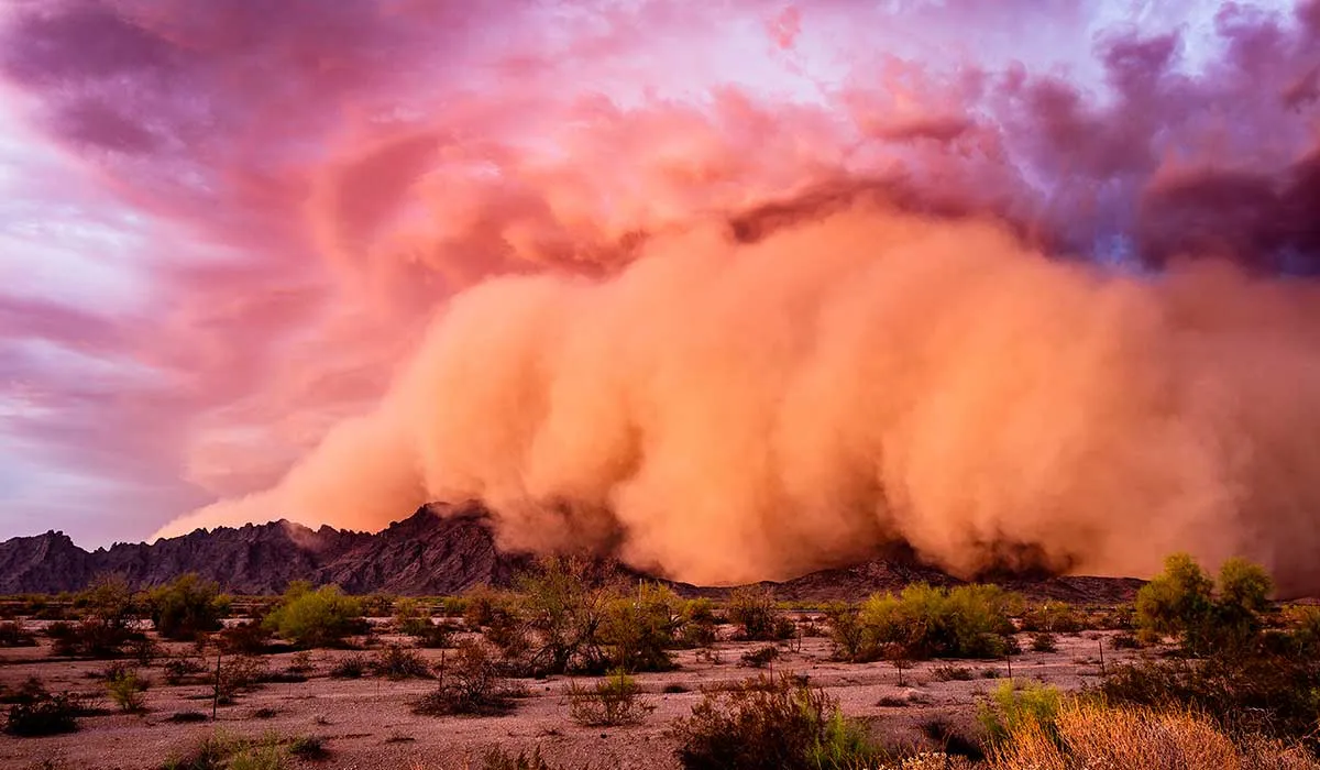 cuando el clima cambió la historia