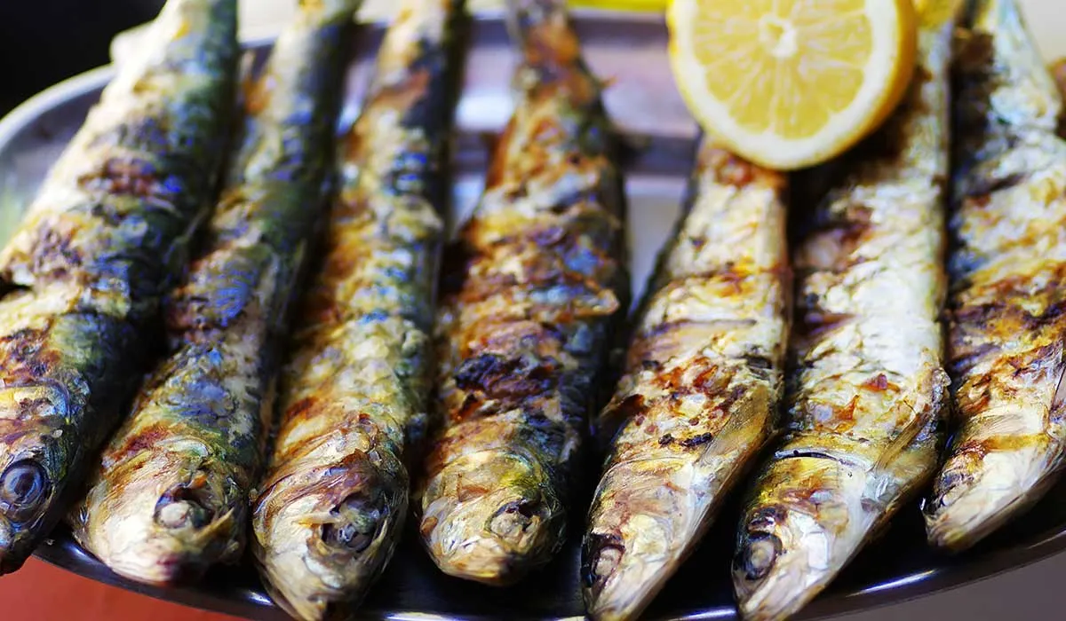 sardinas para obtener omega 3
