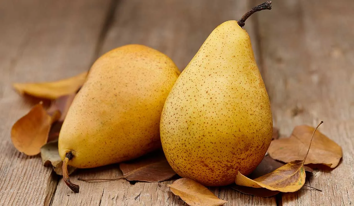 lo que comes puede bajar tu colesterol