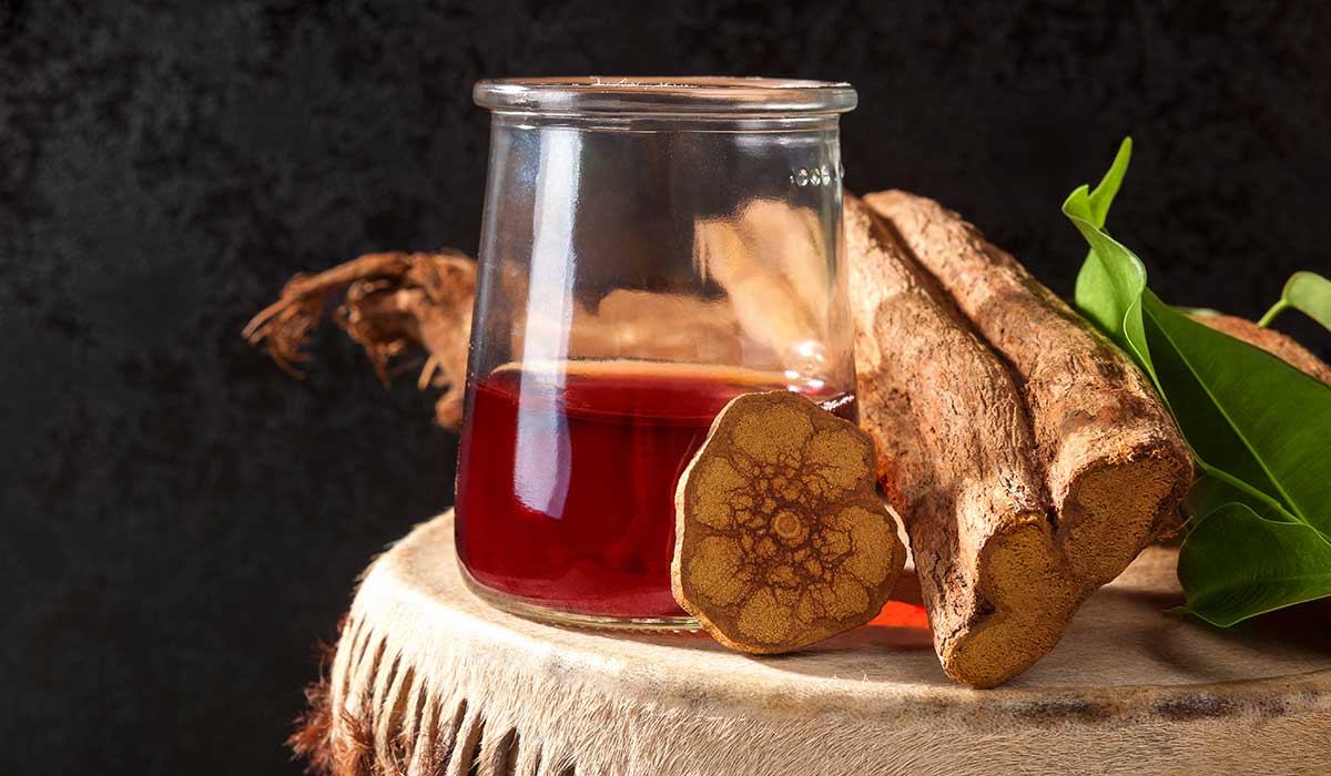 el té de ayahuasca podría crear nuevas células