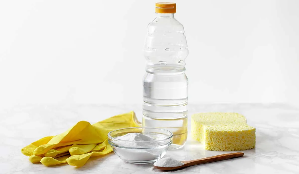 usa el vinagre y saca provecho de todas sus propiedades