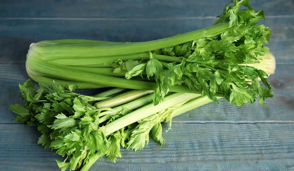 verdades sobre el jugo de apio