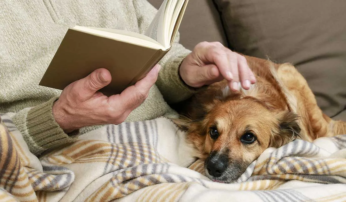 adultos mayores con animales y depresión