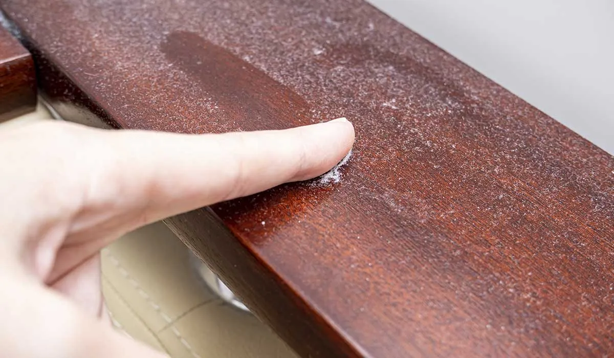 olvídate del polvo con estos tips