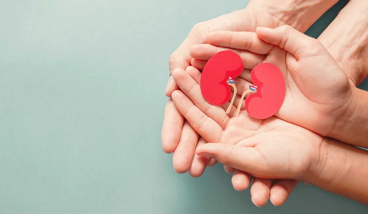 el problema de la donación de organos en México