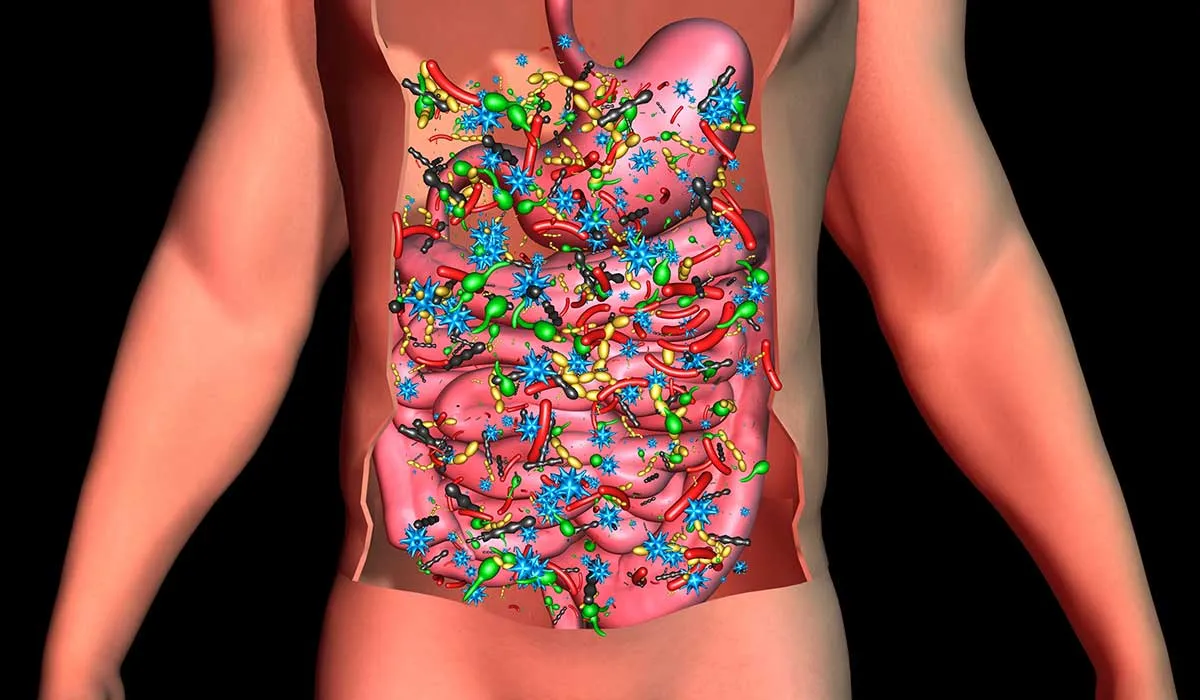 la importancia de microbiota desde la infancia