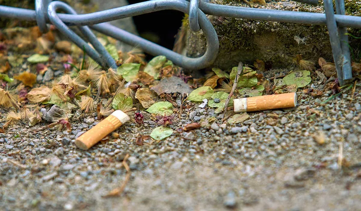 la contaminación por colillas de cigarro es muy poderosa