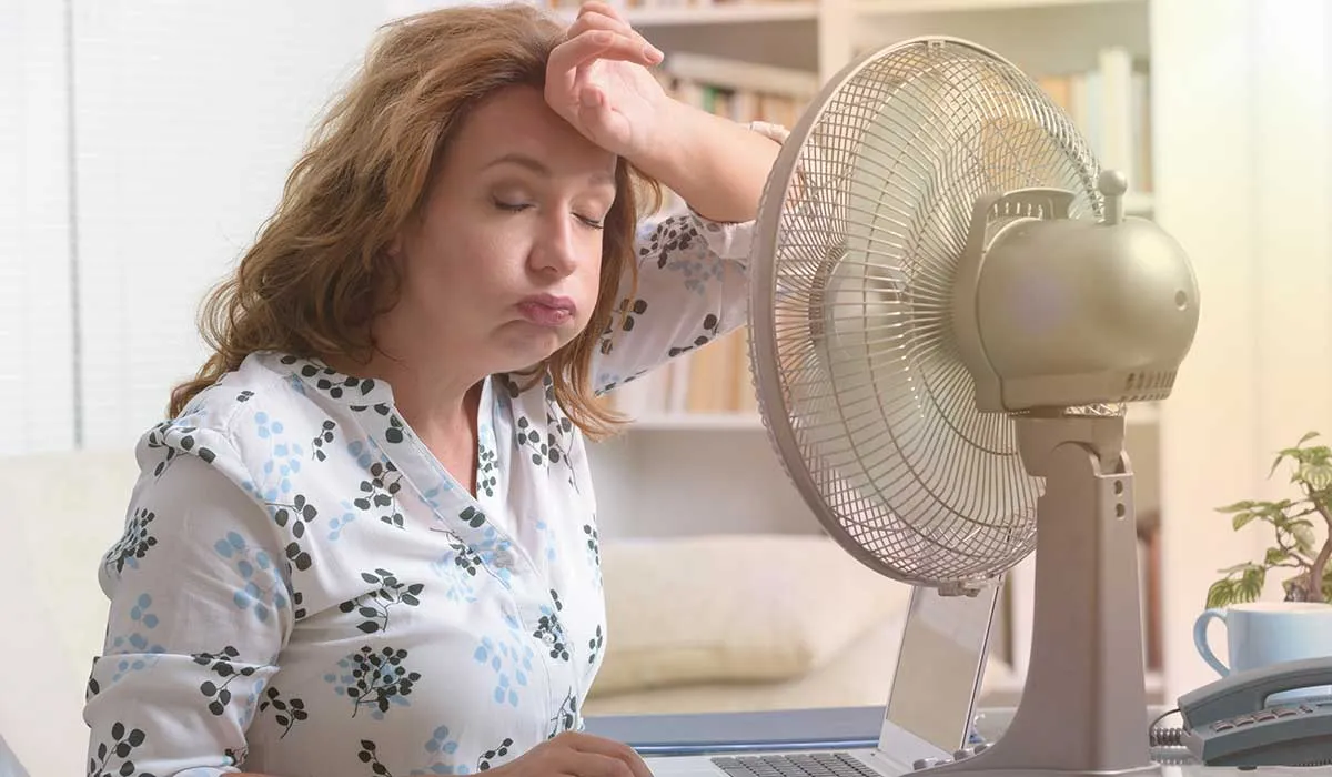 remedios para los sofocos