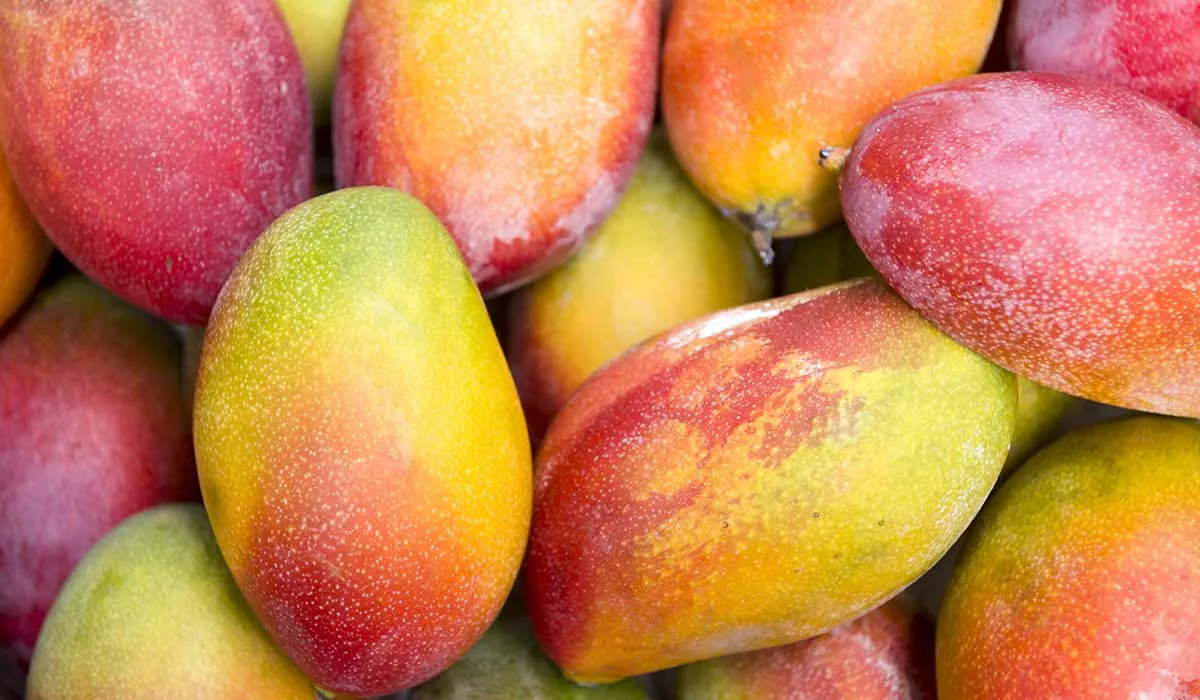 alimentos que te provocan gases