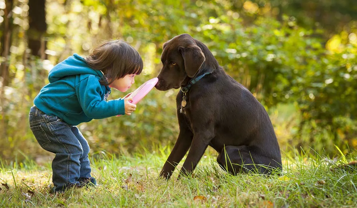 cuida a tus hijos para que los perros no los muerdan