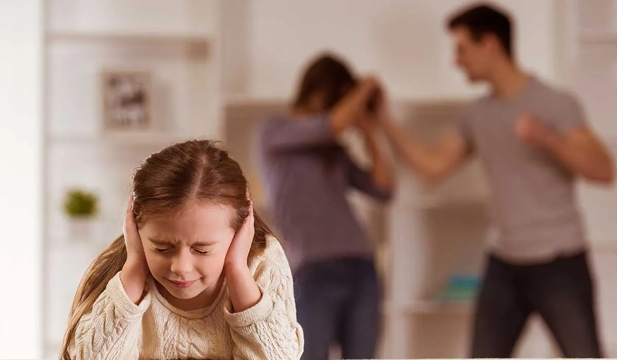 hechos sobre la violencia doméstica