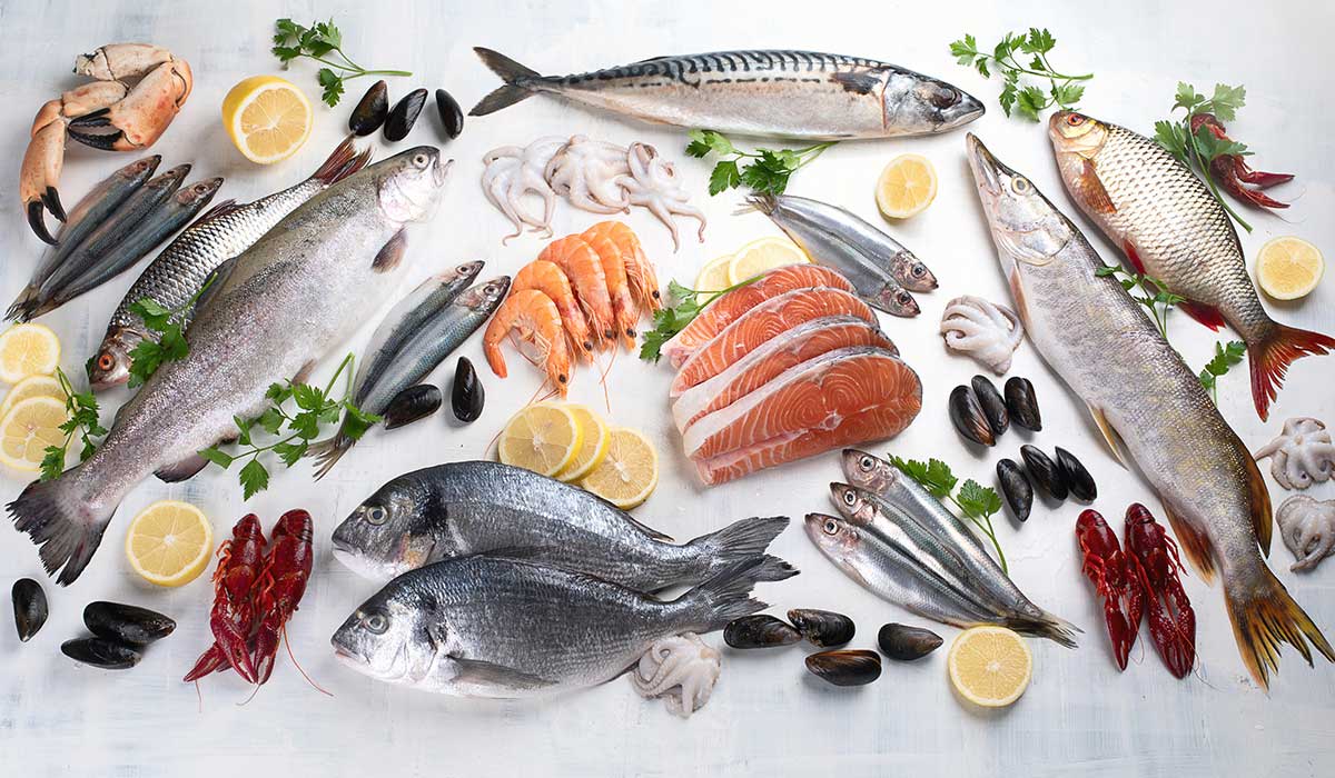 la importancia de comer mariscos para tu salud y organismo